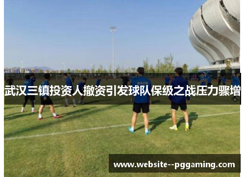 武汉三镇投资人撤资引发球队保级之战压力骤增 武汉三镇投资人撤资引发球队保级之战压力骤增